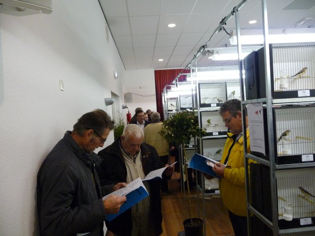 p1040250